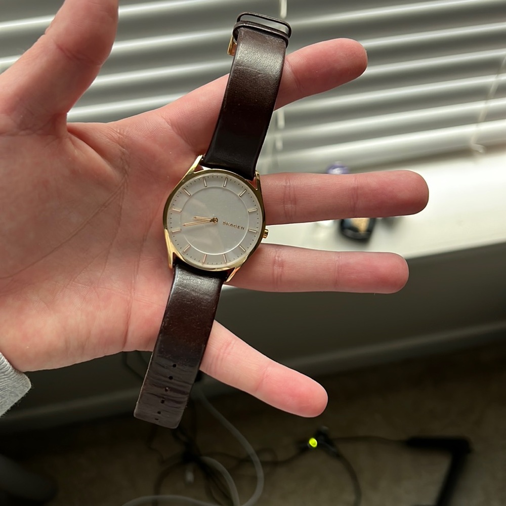 Skagen watch